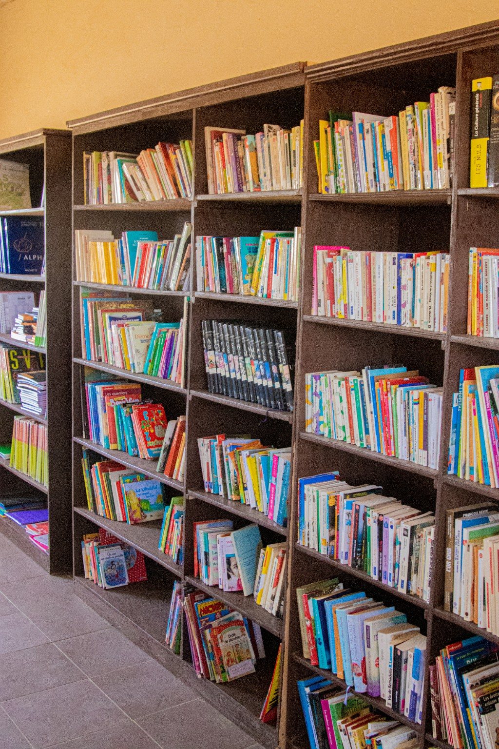 Rayonnages remplis de livres dans une bibliothèque de l'association